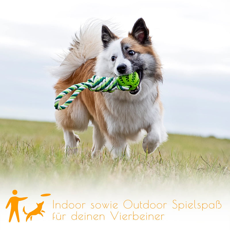 PAWDY dog rope with ball for fun and dental care - Robust dog toy for medium & large dogs - Chew toy with nubs made of natural rubber - Ball rope throwing toy for dogs (green) Green - PawsPlanet Australia