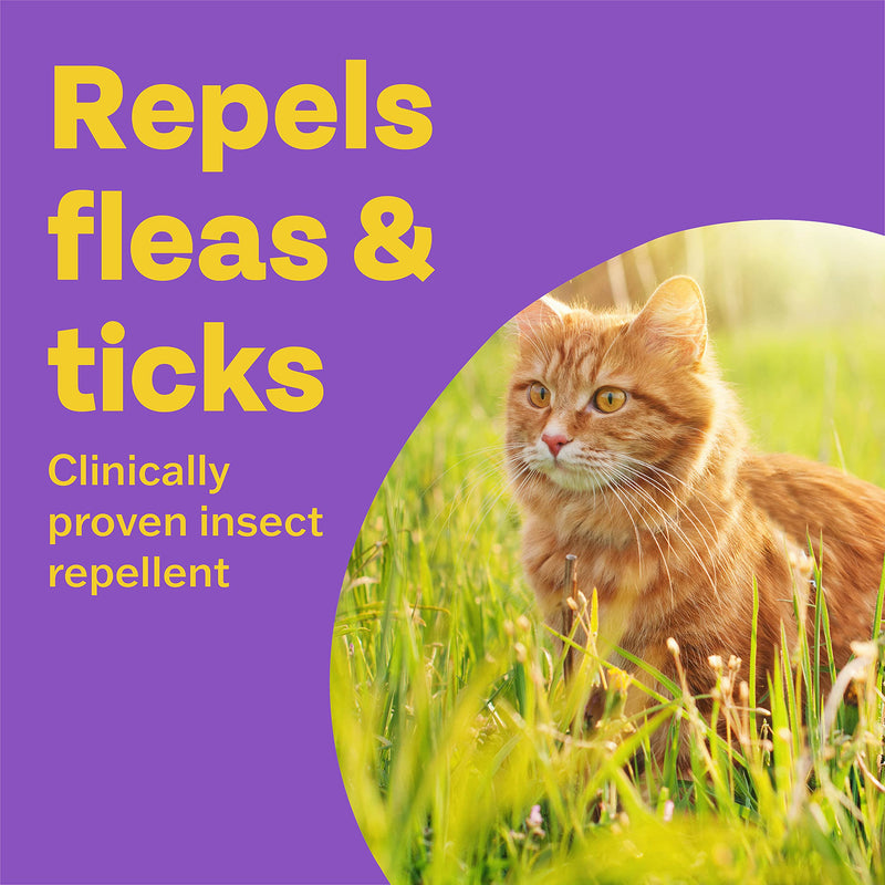 Bob Martin Clear | Flea & Tick Spot On for Cats and Kittens | Pesticide Free Repellent | Clinically Proven Prevention (1 Pipette) - PawsPlanet Australia