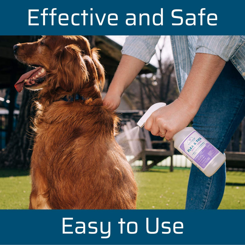 Wondercide - Flea, Tick and Mosquito Spray for Dogs, Cats, and Home - Flea and Tick Killer, Control, Prevention, Treatment - with Natural Essential Oils - Powered by Plants - Pet and Family Safe 16 OZ Rosemary - PawsPlanet Australia