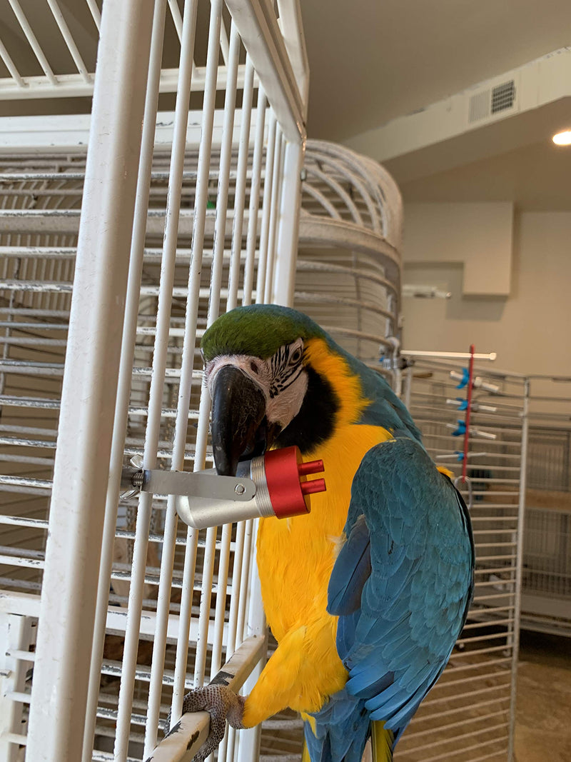 [Australia] - Busy Bird Goodie Gadget Foraging Super Fun Engagement Toy Brain Mind Toys African Grey Cockatoo Amazon Catalina Macaws Conures Medium, Large, Extra Large Birds 