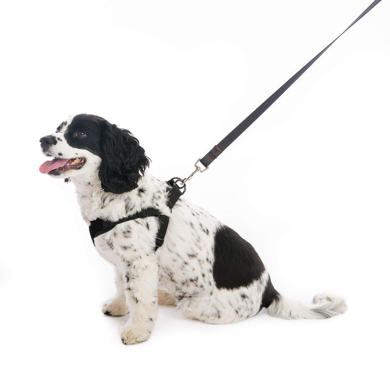 [Australia] - Gooby - Comfort X Step-in Harness, Small Dog Harness with Patented Choke Free X Frame X-Large chest (20.5-26") Black 