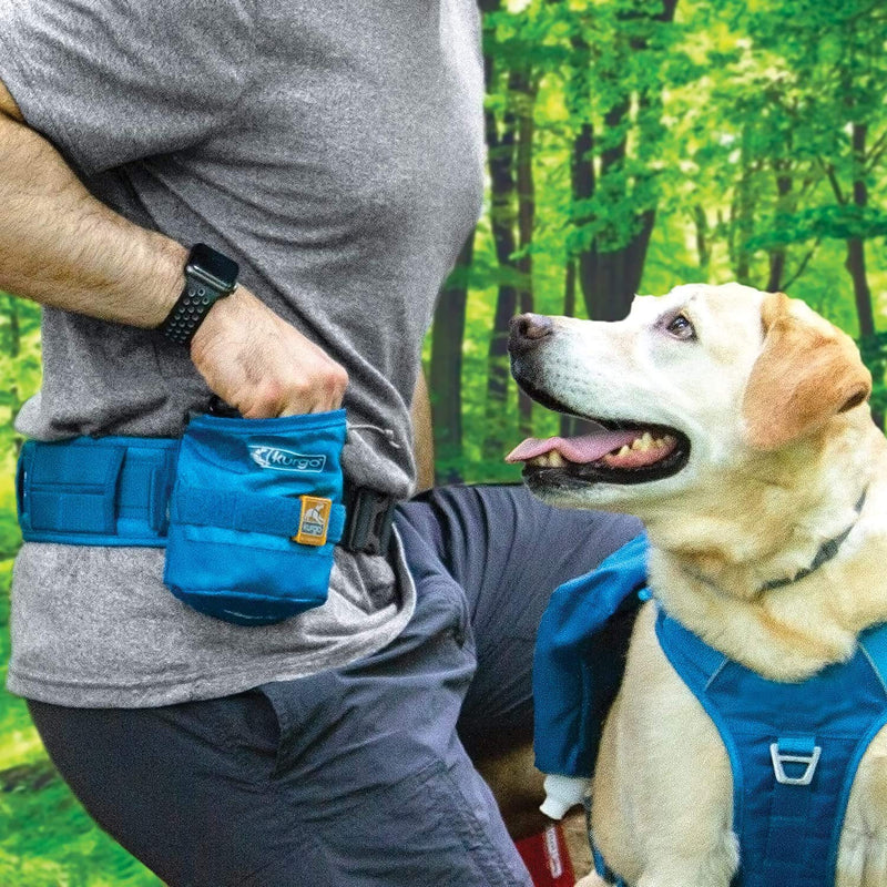 Kurgo RSG YORM Treat Bag, Dog Harness Add-on, MOLLE Compatible, Coastal Blue - PawsPlanet Australia