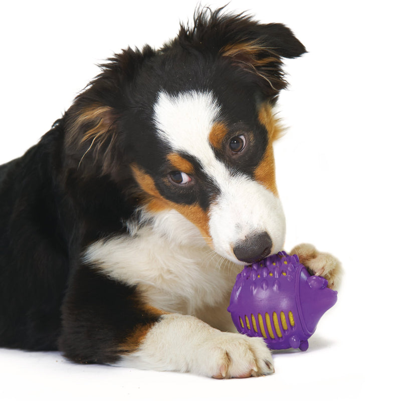 PET STAGES Gummy Plush Hedgehog Toy, Small - PawsPlanet Australia