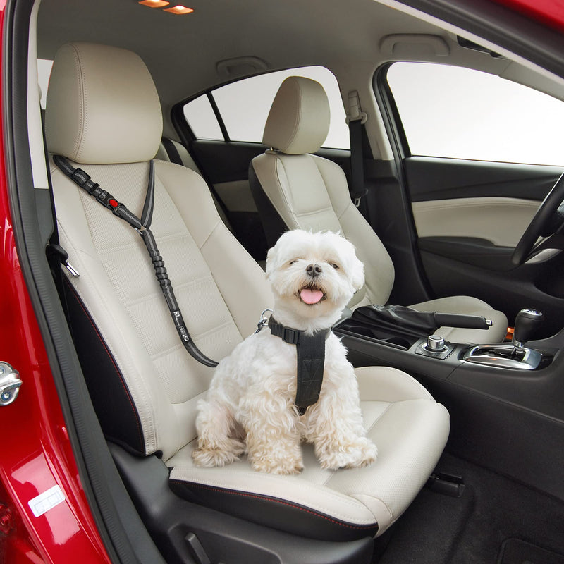 Comfortable Dog Seat Belt Harness for Car - 2-in-1 Leash and Restraint Secures to Headrest. Adjustable Bungee, Strong, Durable, 360 Degree Swivel Attach Won't Twist, Reflective, Easy to Use 1 pack Black - PawsPlanet Australia