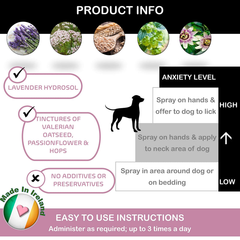 Holistic Hound Calm n Balmy Calming Spray for Dogs & Pets - Lavender Spray to Reduce Anxiety and Aggression - 100% Natural Essential Oils, No Chemicals, Parabens or Pheromones - 100ml Spray Bottle - PawsPlanet Australia