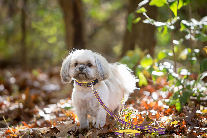 [Australia] - Pets First NFL Sports Dog Pet Leash, Available in Various Teams and Sizes Minnesota Vikings Small 