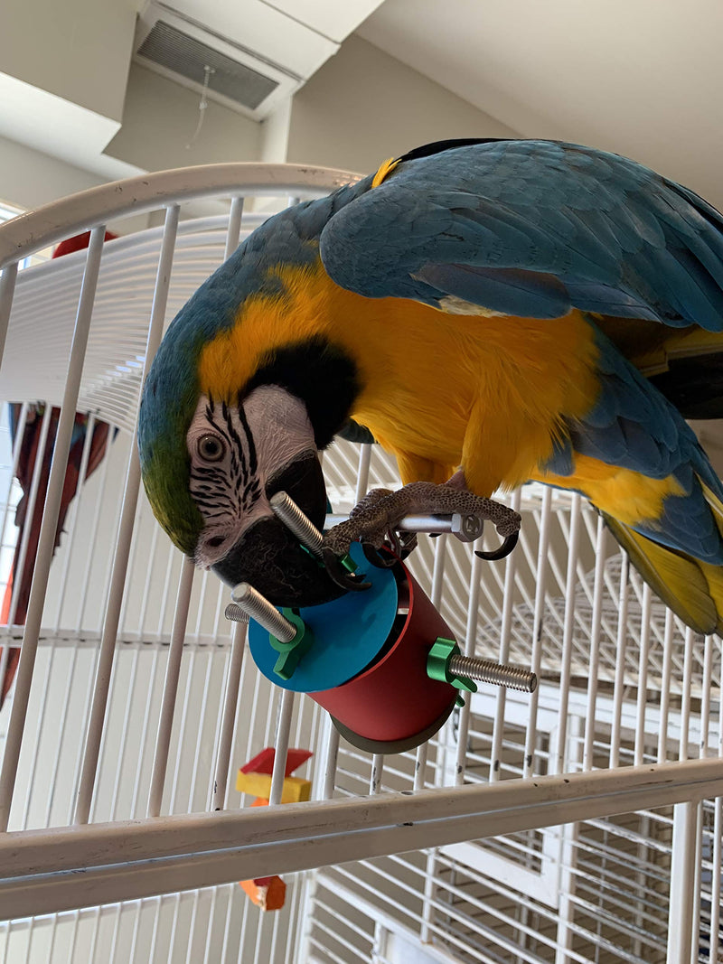 [Australia] - Busy Barrel Parrot Foraging Toy, Super Mechanical Fun Brain Mind Toys African Grey Cockatoo Amazon catalinas Macaws Conures Medium, Large, Extra Large Birds 