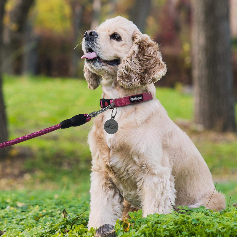 [Australia] - beebiepet 2 Packs Classic Dog Collar with Quick Release Buckle Adjustable Dog Collars for Small Medium Large Dogs collar+leash S neck 10"-16" Pink 