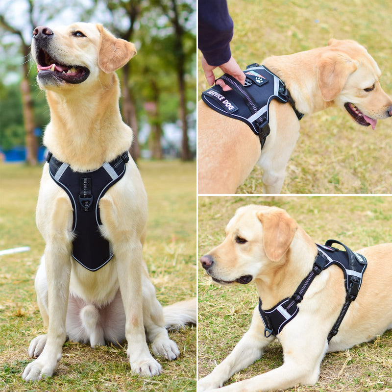 LOCYFENS Dog Harness, No Pull Dog Harness with Soft Handle and 2 Leash Clips, Service Dog Harness with 4 Different Patches to Decoration, Easy to Control for Small Medium Large Dogs Black X-Small - PawsPlanet Australia