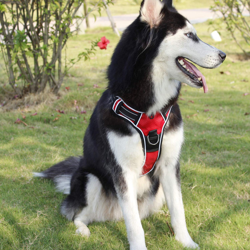 PETTOM Large Dog Harness Red Reflective No Pull Dog Harnesses Adjustable Soft Padded Strong Pet Harness with Handle for Small Medium Large Dogs Training Running(Red,Large) L - PawsPlanet Australia