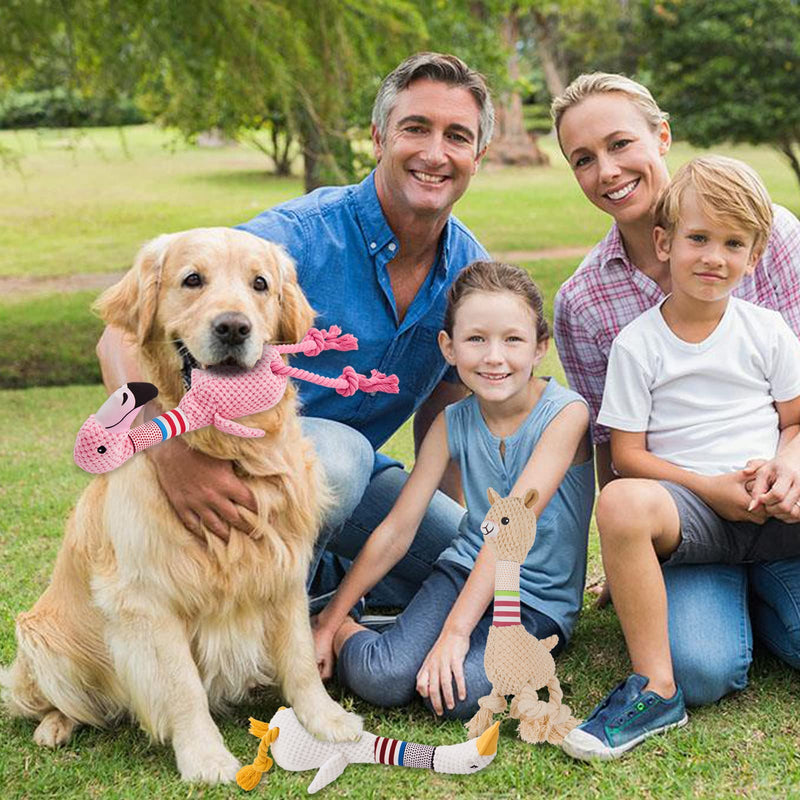 Yzmewael Dog Toy Puppy Toy Squeaky Toy for Dogs, Cuddly Toy Chew Toy Intelligence Dog Toys, Dog Toy Plush for Large Small Dogs and Puppies Pink - PawsPlanet Australia