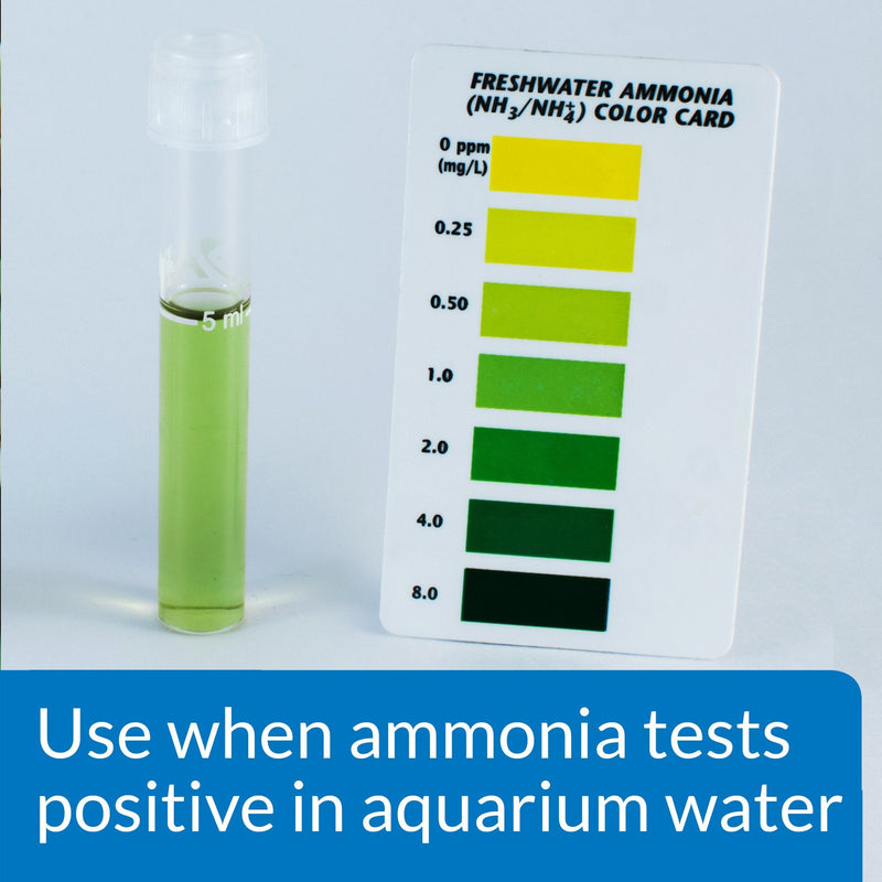 API AMMO-LOCK Freshwater and Saltwater Aquarium Ammonia Detoxifier 118 ml Bottle 118 ml (Pack of 1) Single - PawsPlanet Australia