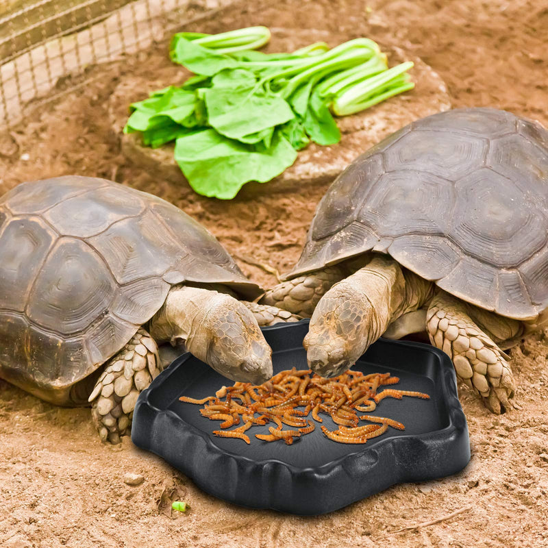 4 Pieces Reptile Water Dish Food Bowl Set Includes 2 Food Feeder Bowl Resin Reptile Bowl Water Bowl 2 Feeding Tweezer Tong Reptile Rock Feeder for Pet Tortoise Lizard Frog Gecko Snake Chameleon - PawsPlanet Australia