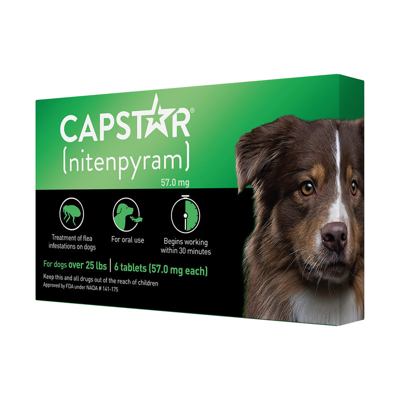 Capstar Fast-Acting Oral Flea Treatment for Dogs Large Dogs, 26-125 lbs - PawsPlanet Australia