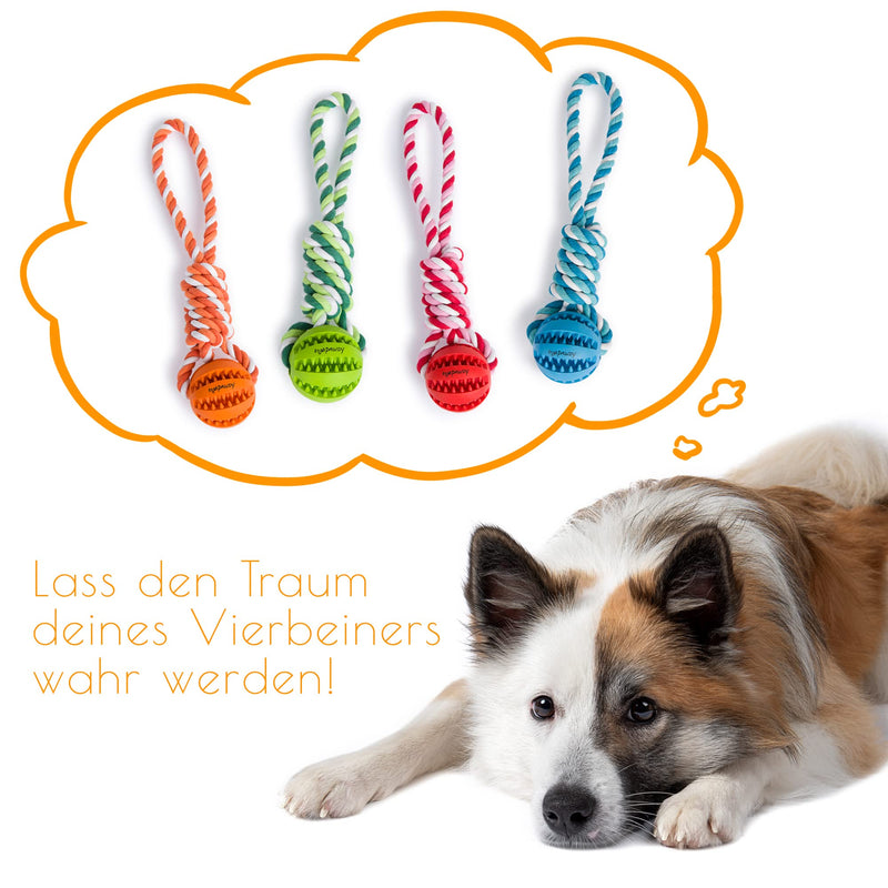PAWDY dog rope with ball for fun and dental care - Robust dog toy for medium & large dogs - Chew toy with nubs made of natural rubber - Ball rope throwing toy for dogs (green) Green - PawsPlanet Australia