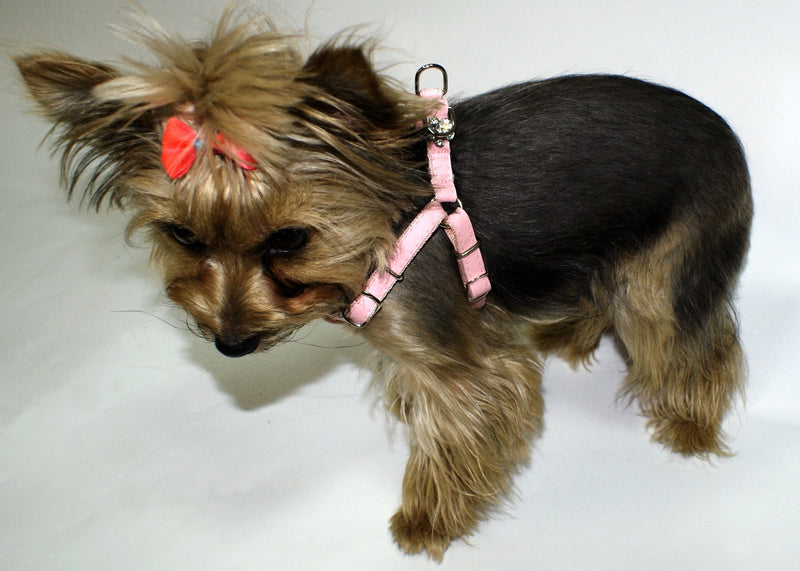 Dingo New York Harness for Small Breeds, Decorative Harness for Dog Made of Pink Leather 10832 - PawsPlanet Australia