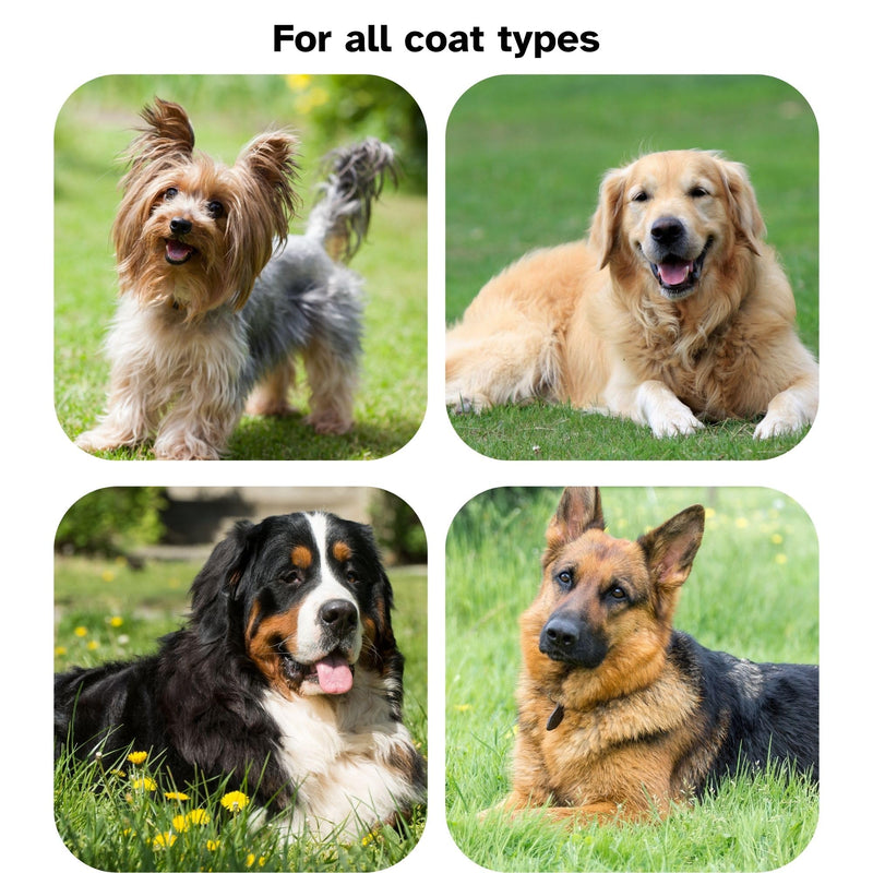 Dog Slicker Brush for Goldendoodles Labradoodles Poodles, Professional Gromming Large Dematting Slicker Brush, Soft Long Stainless Steel Pins, Coat Slicker Brush for Dematting, Red, Large - [TaiQiang] - PawsPlanet Australia