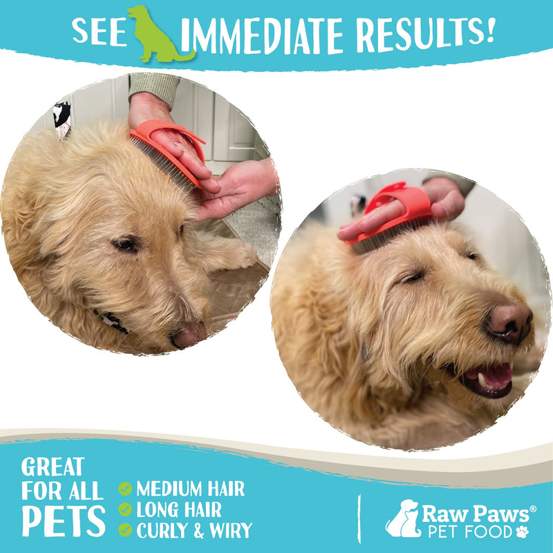 Raw Paws Pet Hand-Held Rubber Tipped Pin Brush for Dogs & Cats - Grooming Brush for Dogs Shedding - Dog Brushes for Grooming Large Dogs & Small Dogs - Bath Brush for Dogs with Short Hair & Long Hair - PawsPlanet Australia