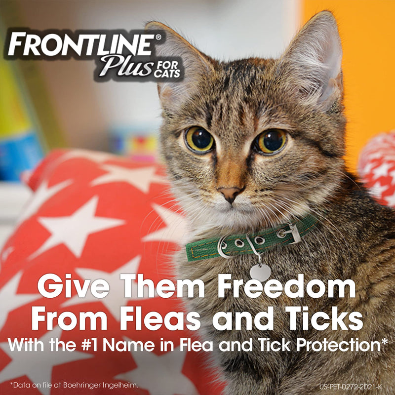 Frontline Plus Flea and Tick Treatment for Cats - PawsPlanet Australia