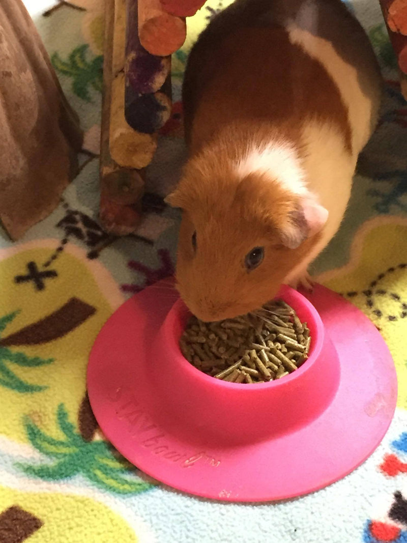 STAYbowl Tip-Proof Ergonomic Pet Bowl for Guinea Pig and Other Small Pets, 1/4-Cup Small Size, Fuchsia (Pink) - PawsPlanet Australia