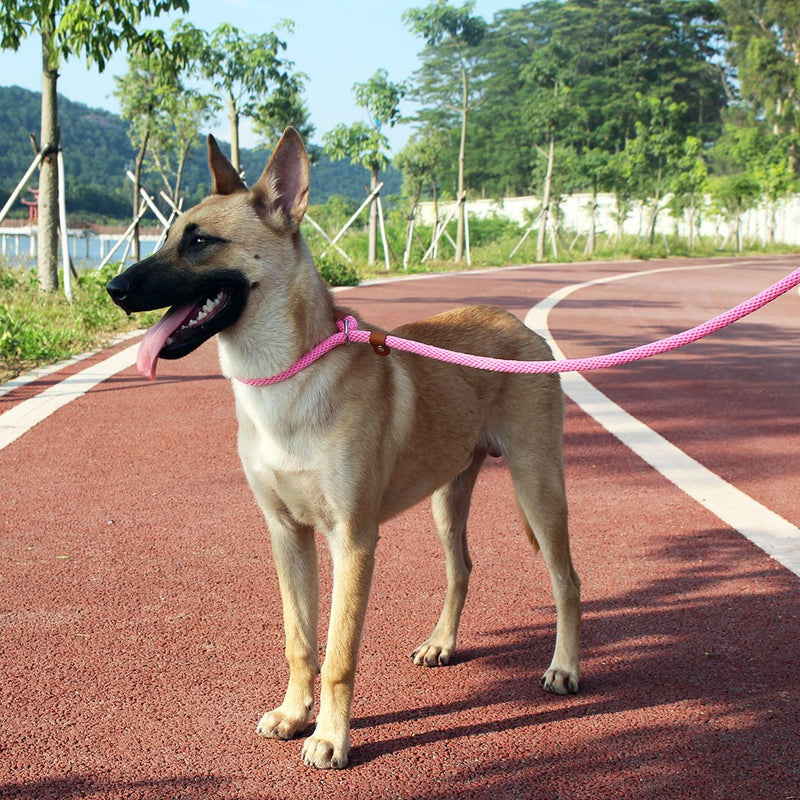 [Australia] - lynxking Dog Leash Slip Rope Lead Leash Strong Heavy Duty Braided Rope No Pull Training Lead Leashes for Medium Large Dogs 6' Pink 