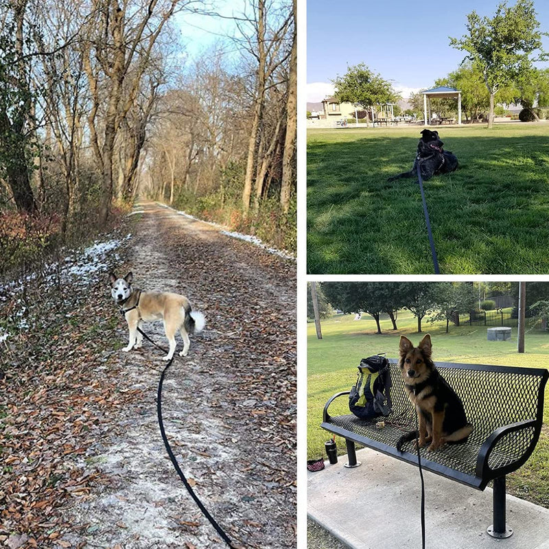 50m towing leash for dogs, Mainiusi dog leash with handle padding, running leash for dogs, cross-country skiing leash for large dogs, training leash for dogs, towing leash for large dogs, small dogs (50m, black) - PawsPlanet Australia