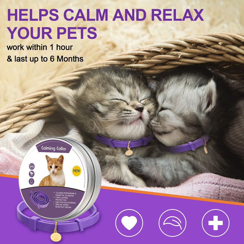 Fiada 6 Pieces Calming Cats Collar Adjustable Cat Relieve Reduce Anxiety Collar Lavender Scent Long-Lasting Relaxing Cat Collar with 3 Pendants for Puppies Cats Reduce Stress Anxious, Purple - PawsPlanet Australia