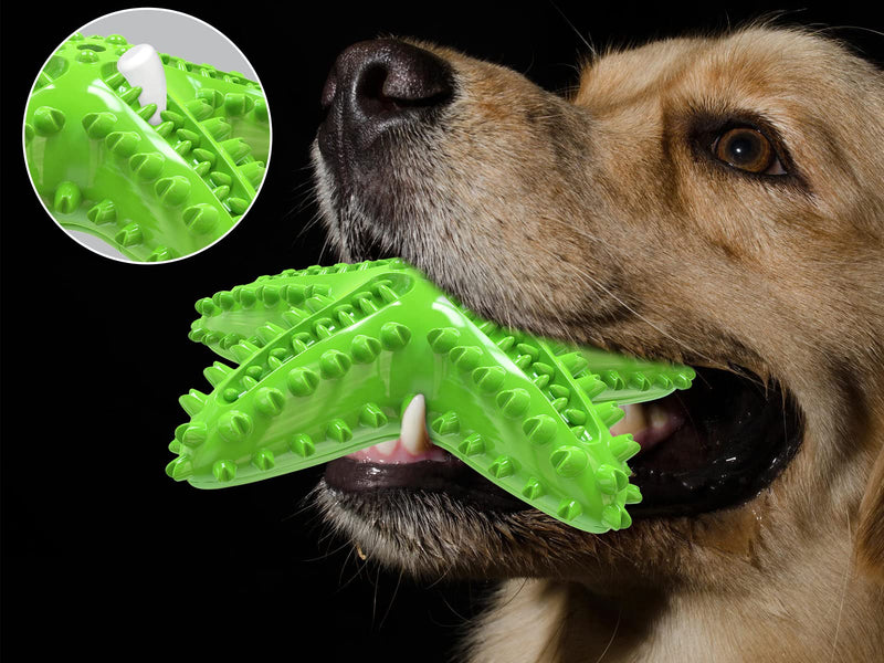 Acecy Dog Toys, Puppy Teething Cleaning Toothbrush Toy, Durable Squeaky Interactive Starfish Puppy Toys for Small Medium Large Breed - PawsPlanet Australia