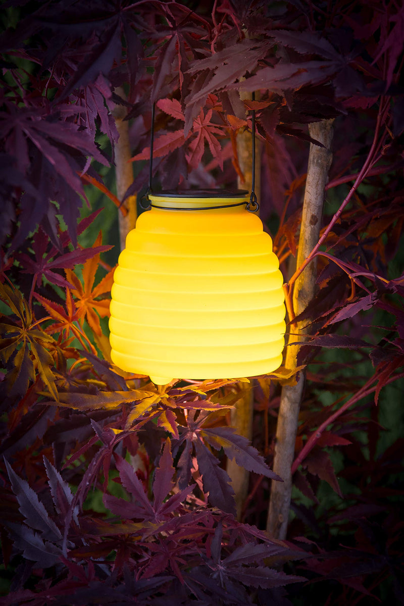 Noma Uncle Franks Wasp Catcher Light with Warm White LED, 15.5cm, One Size - PawsPlanet Australia