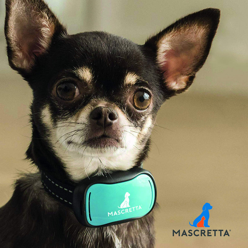 Mascretta Shock Collar for Dogs. Anti Bark Collar for Dogs. Anti Barking Collar for Dogs. Dog bark Collar with Shock to Train The Habit of bark. No Bark Collar for Medium and Large Dogs (an-S2) - PawsPlanet Australia