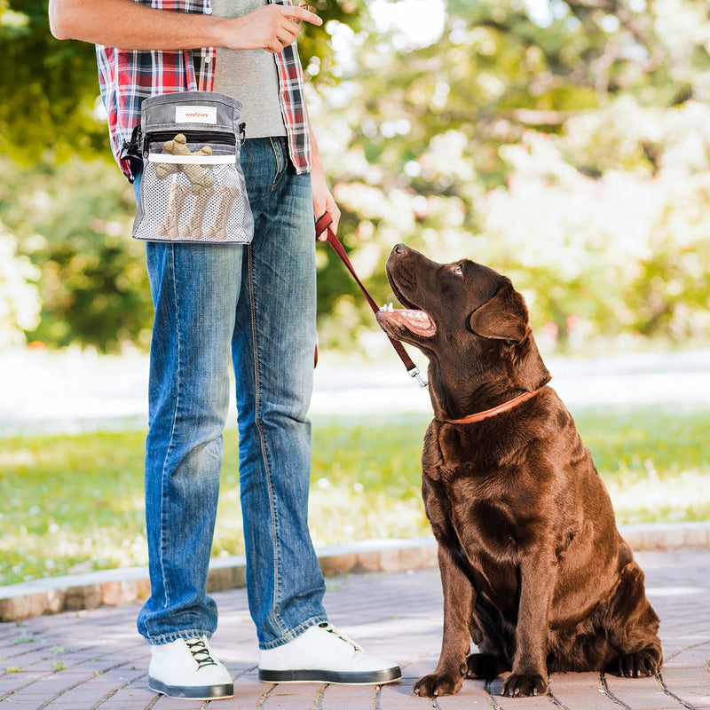 WOOFYLUVY Dog Treat Pouch - 10" Mesh Treat Bag for Dog Training - Easily Carry Treats, Kibble and Toys - Waterproof Dog Training Treat Pouch with Built in Poop Bag Dispenser and Adjustable Drawstring - PawsPlanet Australia