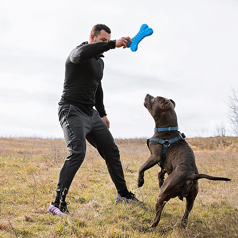 Dog Toys for Aggressive Chewers Large Breed, Durable Dog Chew Toy, Nearly Indestructible Dog Toys for Large Dogs, Tough Natural Rubber Puppy Chew Toys for Medium Dog Teeth Cleaning Blue Bone - PawsPlanet Australia