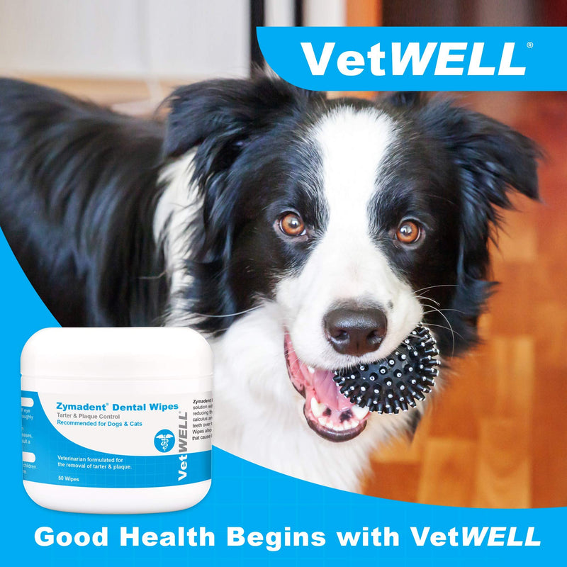 VetWELL Zymadent Cat & Dog Dental Wipes - Teeth Cleaning & Dental Care with Chlorhexidine - Tartar Remover for Teeth, Reduce Plaque, Breath Freshener - 50 ct - PawsPlanet Australia
