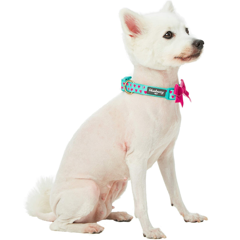 [Australia] - Blueberry Pet 20+ Patterns The Most Coveted Designer Dog Collars, Matching Leash or Harness Collar - (12"-16") Neck * 5/8" Wide Minty Green 