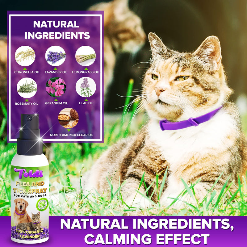 Flea-Spray used as Dog-Flea-Tick-Treatment, Flea-Treatment-Cat, Flea-Spray-Home, Dog-Repellent-Spray, with Natural Ingredients | Allergy Free Tick Repellent for Dogs | Puppies | Cats | Kittens | Home Lavender - PawsPlanet Australia
