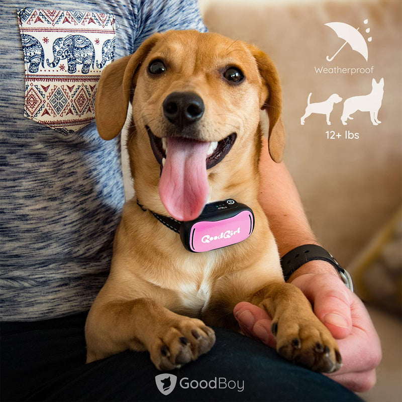[Australia] - GoodBoy Small Dog Bark Collar for Tiny Medium and Large Breeds - Sound Vibration or Shock Modes Control Unwanted Barking - Rechargeable No Bark Training Device - New 2019 Sensor & Chip Upgrade Pink 