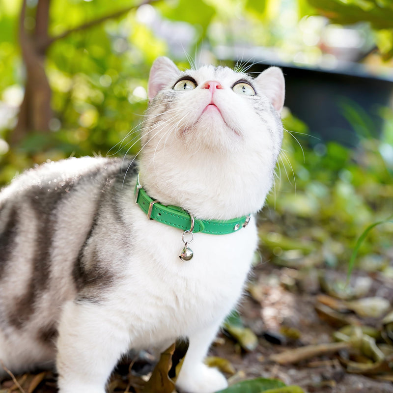 DAIHAQIKO Leather Cat Collar with Bell Cat Collar with Diamond Star Moon Green - PawsPlanet Australia