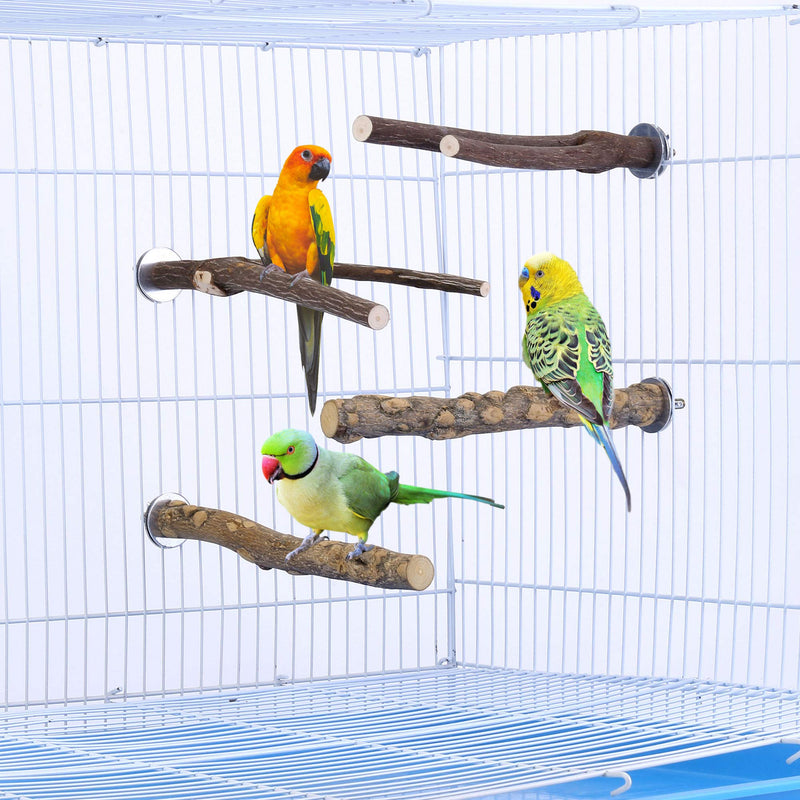 Mogokoyo 4 Pcs Bird Perches Parrot Stand Natural Wood Perch Parakeet Toys Bird Cage Accessories for Conure Supplies Budgie Platform - PawsPlanet Australia