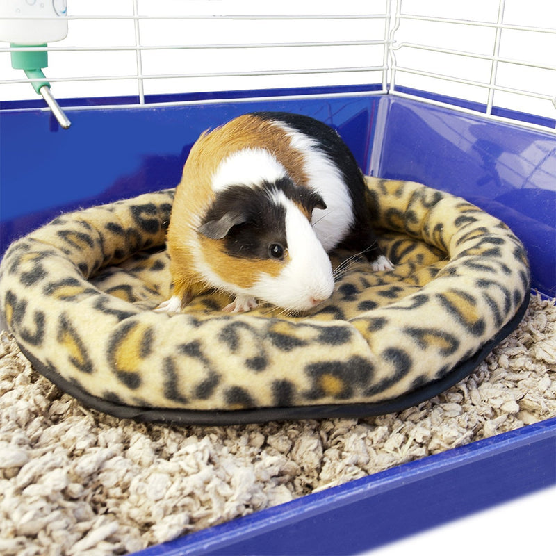 [Australia] - Ware Manufacturing Safari Sleeper Bed for Small Animals - Colors May Vary Large / 2 Pack 