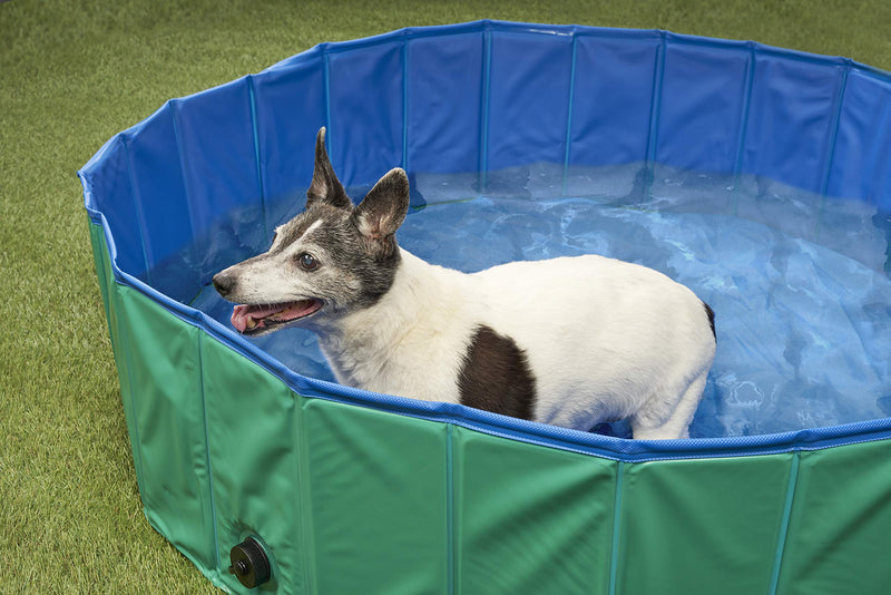 Pet Mania - Large Green Foldable Pet Swimming Paddling Pool for Dogs - 120x30cm - PawsPlanet Australia