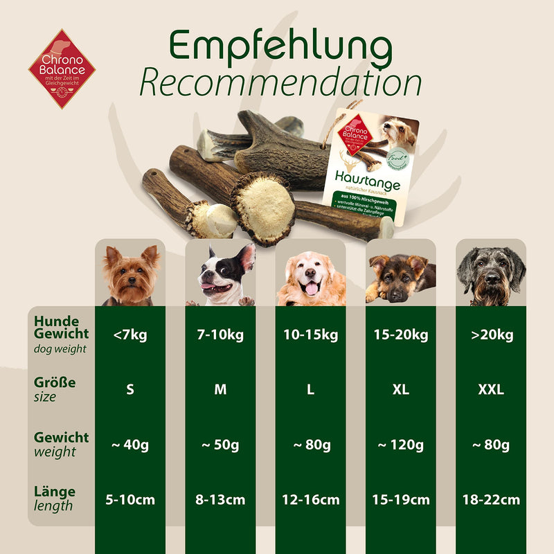 ChronoBalance® Antler Chew Stick for Dogs: L Chew Toy Dental Care Chew Stick Made of 100% Deer Antler: Dog Toy Chew Root Treat Chew Wood Dental Hygiene Chew Bone Set: Naturally Safe Robust L (Pack of 1) - PawsPlanet Australia