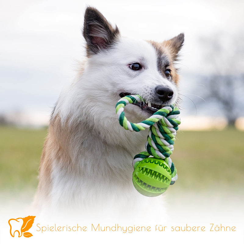 PAWDY dog rope with ball for fun and dental care - Robust dog toy for medium & large dogs - Chew toy with nubs made of natural rubber - Ball rope throwing toy for dogs (green) Green - PawsPlanet Australia