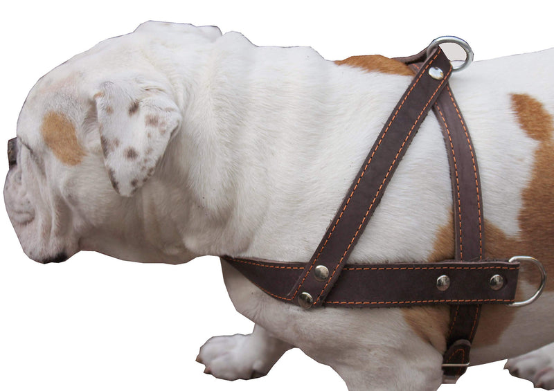 [Australia] - Brown Leather Dog Pulling Walking Harness Large. 31"-35" Chest, 1.5" Wide Straps 