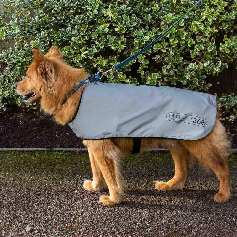 Proviz Reflect360 Fleece Lined Dog Coat, Silver, Large L - PawsPlanet Australia