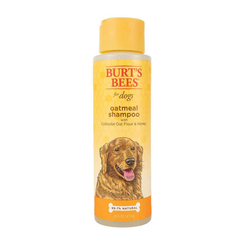 Burt's Bees for Dogs Natural Oatmeal Shampoo for Dogs, Colloidal Oat Flour & Honey - Oatmeal Dog Shampoo - Dog Grooming Supplies, Dog Bathing Supplies, Burts Bees Dog Shampoo, Dog Wash, Pet Shampoo 2 Pack Shampoo (16oz) - PawsPlanet Australia