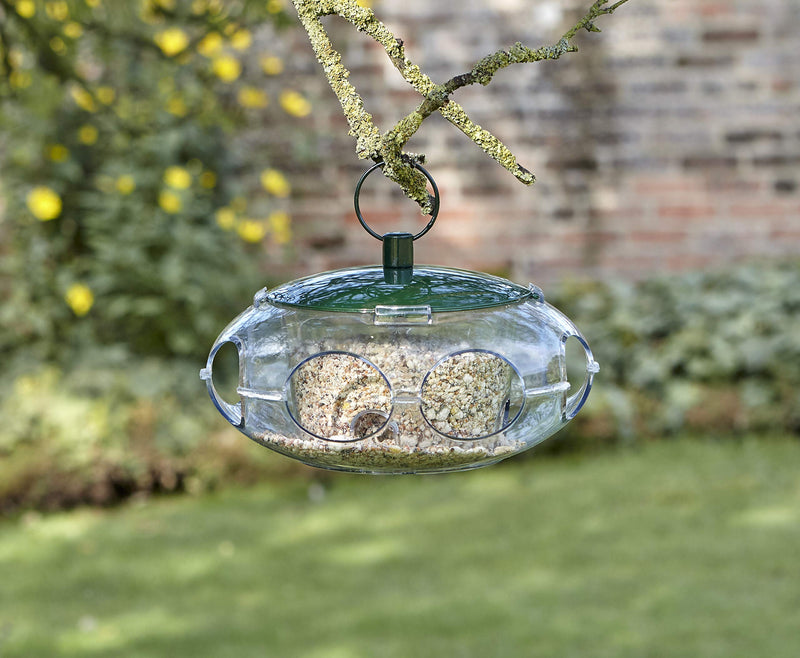 Peckish 60053061 Bird Seed Feeder for Small Birds, 24.8 x 14.8 x 5.4 cm - PawsPlanet Australia