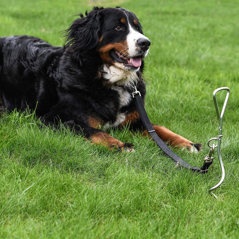 [Australia] - Katzco Chrome Dog Stake - Heavy-Duty Tie-Out - for Dogs Tieout Stake 