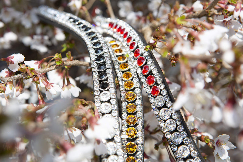 KIEFFER Browband COLLECTION - PawsPlanet Australia