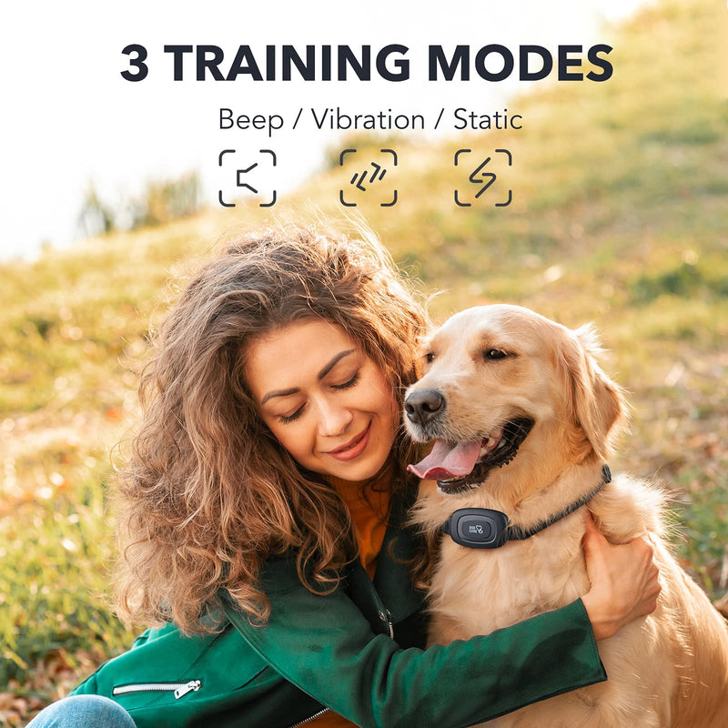 DOG CARE Dog Training Collar with Remote - Rechargeable Dog Shock Collar with Beep, Vibration and Adjustable Shock Level, 2 Receivers Dog Training Collars for Dogs - PawsPlanet Australia