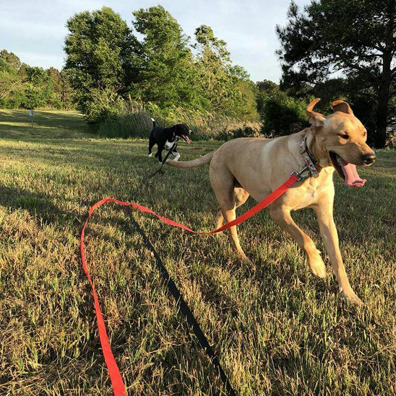 Leashboss Long Trainer - 50 Foot Lead - 1 Inch Nylon Long Dog Training Leash with Storage Strap - K9 Recall - for Large Dogs (50 Foot, 1 in, Orange) - PawsPlanet Australia